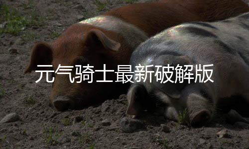 元气骑士最新破解版下载