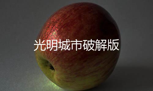 光明城市破解版下载