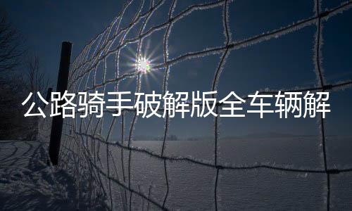 公路骑手破解版全车辆解锁下载