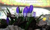 公路骑手破解版