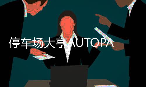 停车场大亨AUTOPARK INC下载