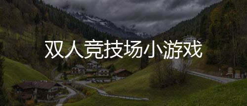 双人竞技场小游戏下载