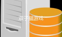双子猫游戏