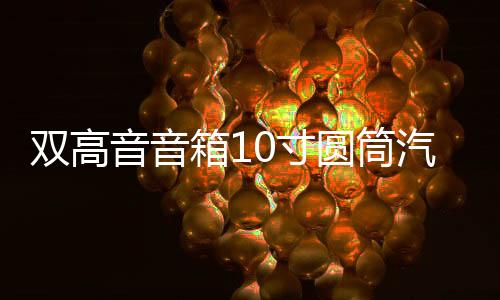 双高音音箱10寸圆筒汽车低音炮车载重低音炮有源家庭音响12/220V下载