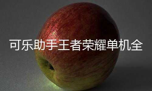 可乐助手王者荣耀单机全皮肤下载