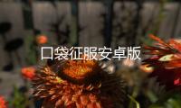 口袋征服安卓版
