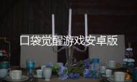 口袋觉醒游戏安卓版