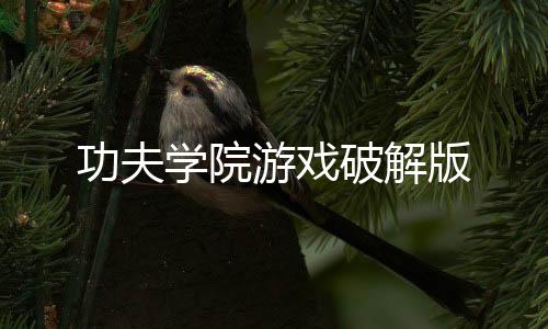 功夫学院游戏破解版下载