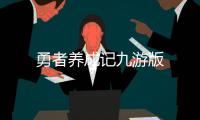 勇者养成记九游版