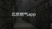 北京燃气app