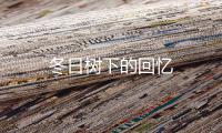 冬日树下的回忆