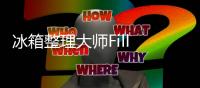 冰箱整理大师Fill The Fridge游戏