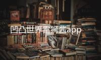 凹凸世界雷狮酱app