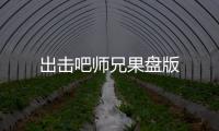 出击吧师兄果盘版