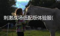 刺激战场低配版体验服(BETA PUBG MOBILE LITE)