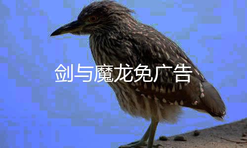 剑与魔龙免广告下载