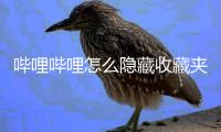 哔哩哔哩怎么隐藏收藏夹？哔哩哔哩隐藏收藏夹教程