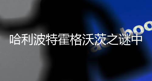 哈利波特霍格沃茨之谜中文版下载