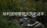 哈利波特霍格沃茨之谜手游