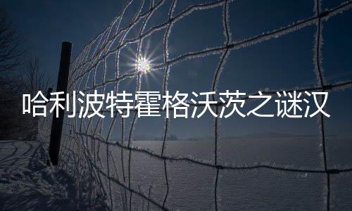 哈利波特霍格沃茨之谜汉化破解版下载