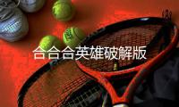 合合合英雄破解版