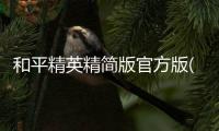 和平精英精简版官方版(pubgmobilelite)