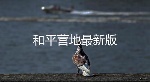 和平营地最新版下载