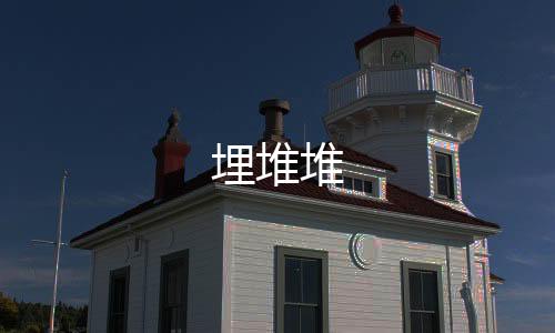 埋堆堆下载