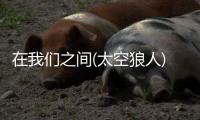 在我们之间(太空狼人)单机中文