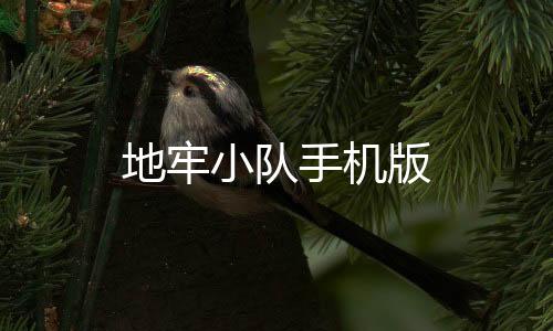 地牢小队手机版下载