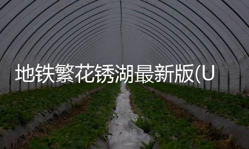 地铁繁花锈湖最新版(Underground Blossom)下载