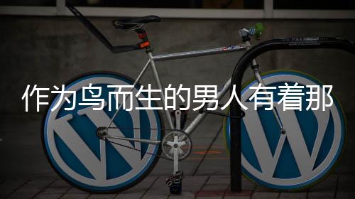 作为鸟而生的男人有着那样壮烈的人生下载