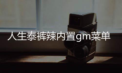 人生泰裤辣内置gm菜单免广告版下载