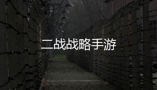 二战战略手游下载