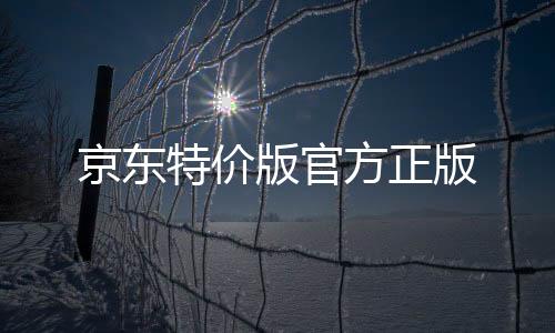 京东特价版官方正版下载