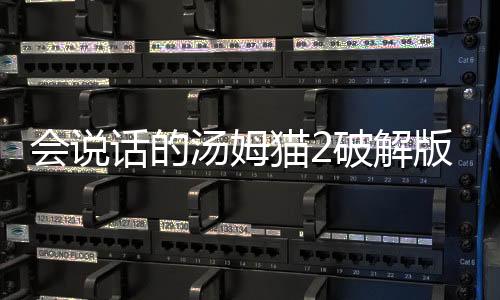 会说话的汤姆猫2破解版无限金币下载