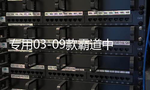 专用03-09款霸道中网改装 普拉多中网饰条亮条装饰 配件 彩条下载