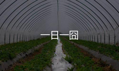 一日一囧下载