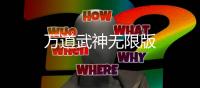 万道武神无限版