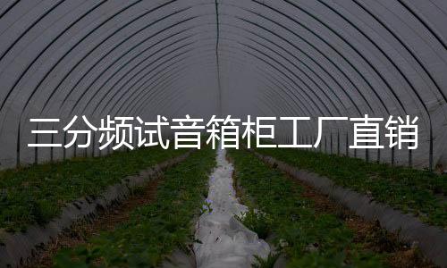 三分频试音箱柜工厂直销汽车音响改装店音响箱柜组合低音炮箱包邮下载