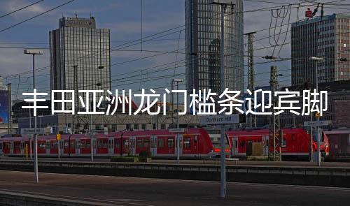 丰田亚洲龙门槛条迎宾脚踏板防踩保护贴车内装饰汽车用品配件改装下载