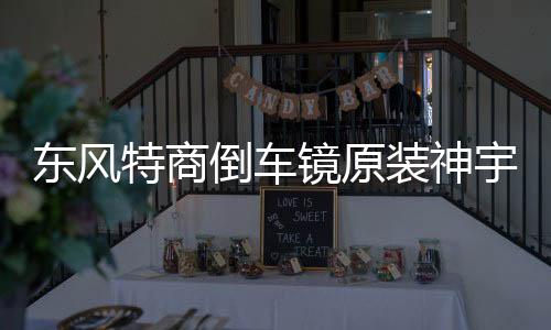 东风特商倒车镜原装神宇擎宇三环大运风度倒车镜汽车反光镜后视镜下载