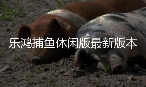 乐鸿捕鱼休闲版最新版本下载