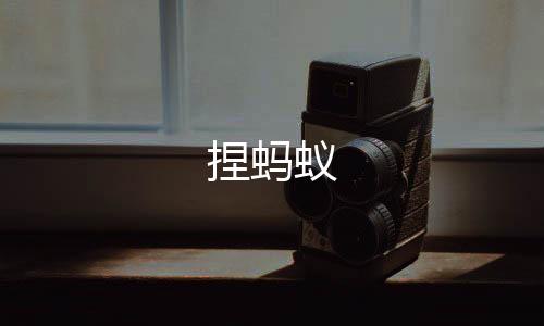 捏蚂蚁下载