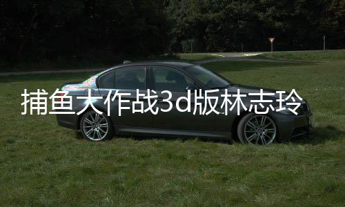 捕鱼大作战3d版林志玲版下载