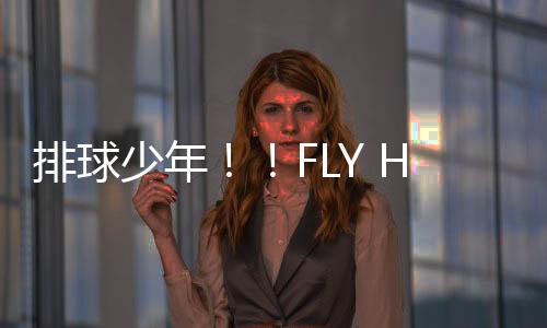 排球少年！！FLY HIGH游戏官方版下载