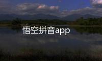 悟空拼音app
