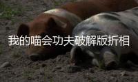 我的喵会功夫破解版折相思