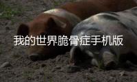 我的世界脆骨症手机版