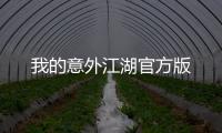 我的意外江湖官方版